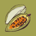 Visit the Cocoa page