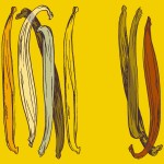 Visit the Vanilla page